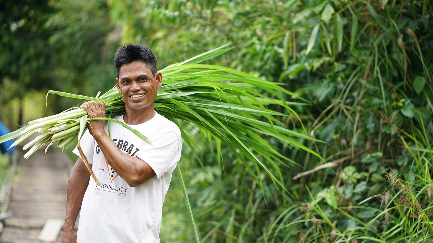 Restoring and conserving Katingan Peatland in Indonesia